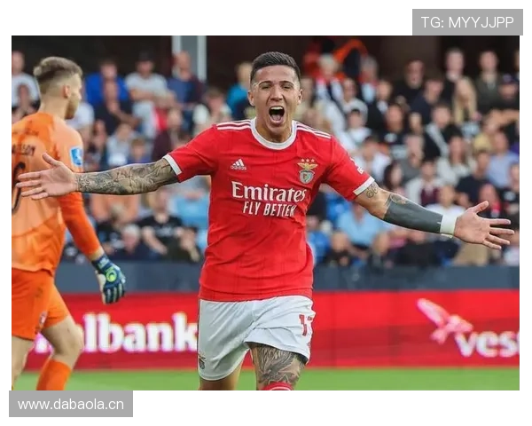 恩佐·费尔南德斯家里冰箱贴都是金的？